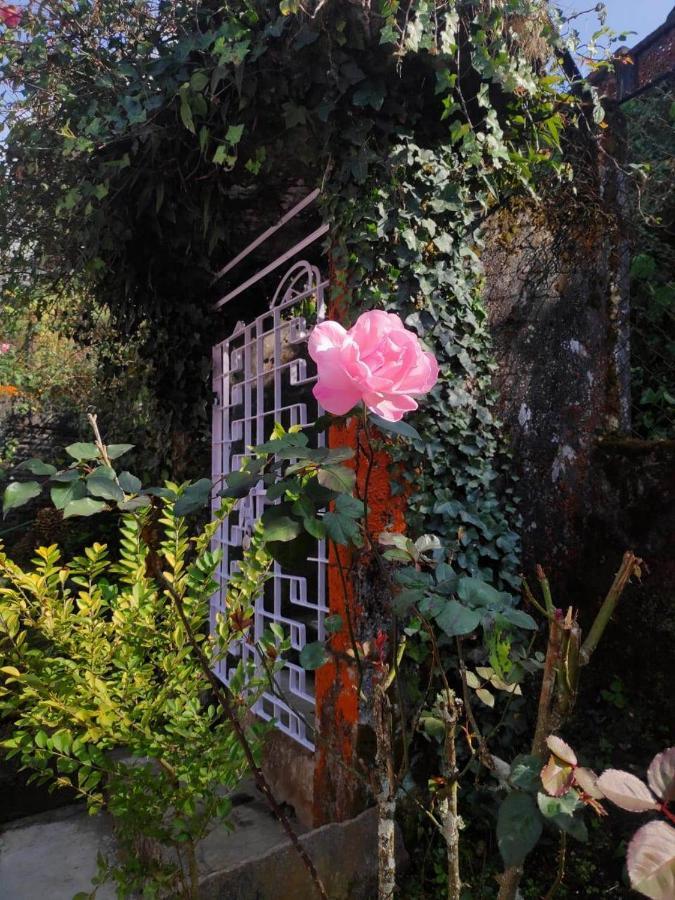 Darjeeling Bnb Exterior photo