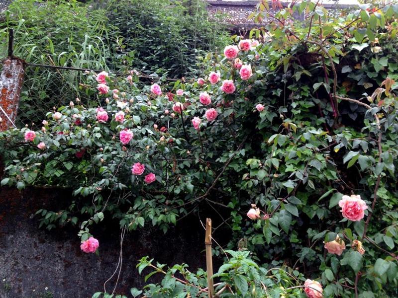 Darjeeling Bnb Exterior photo