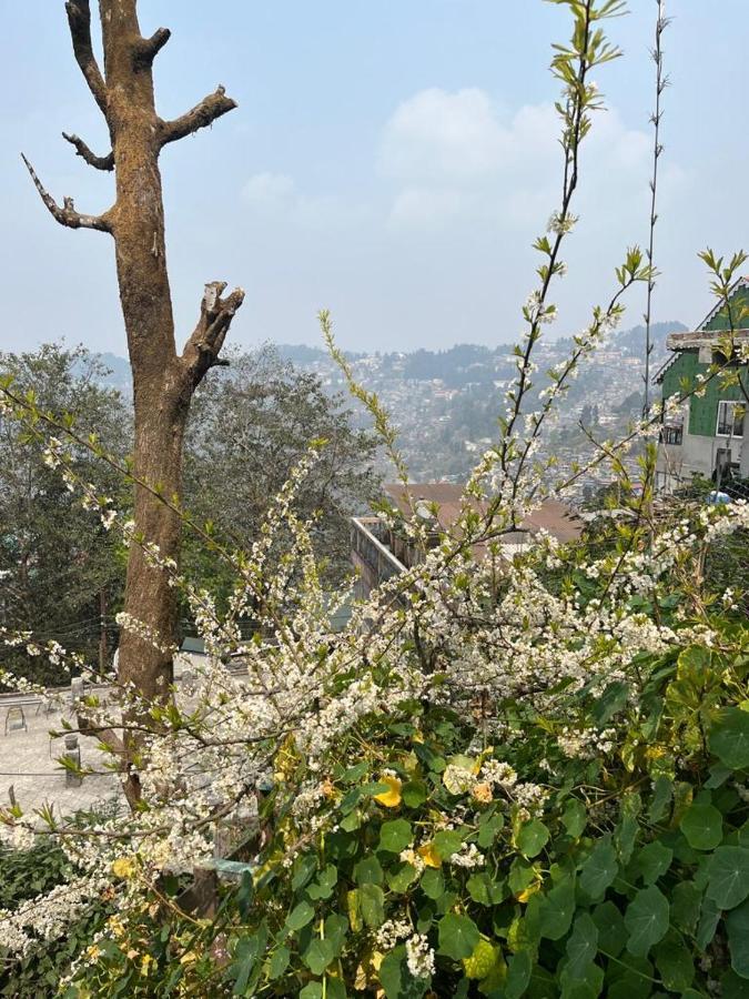 Darjeeling Bnb Exterior photo