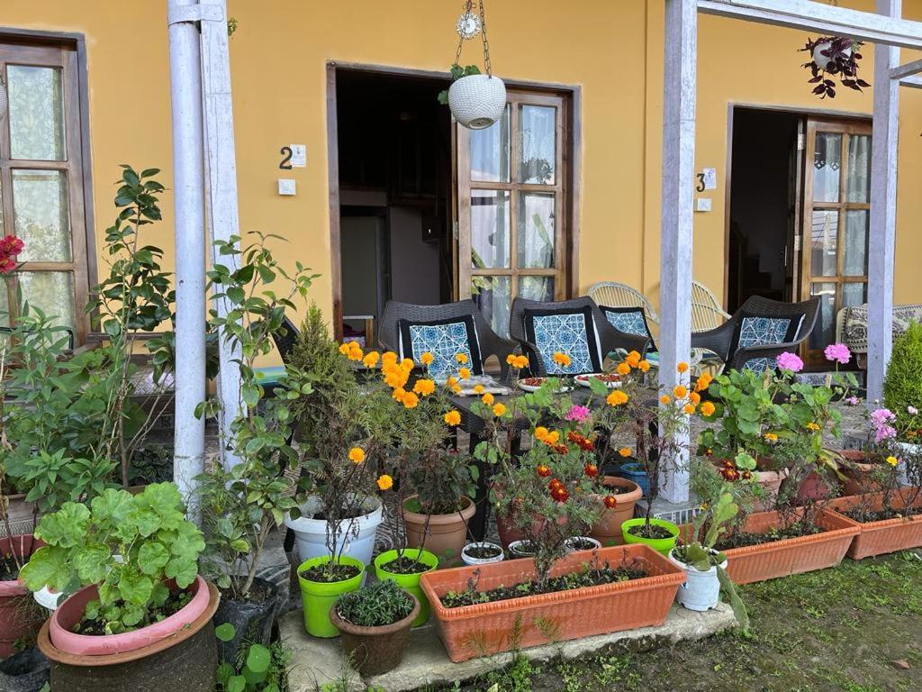 Darjeeling Bnb Exterior photo